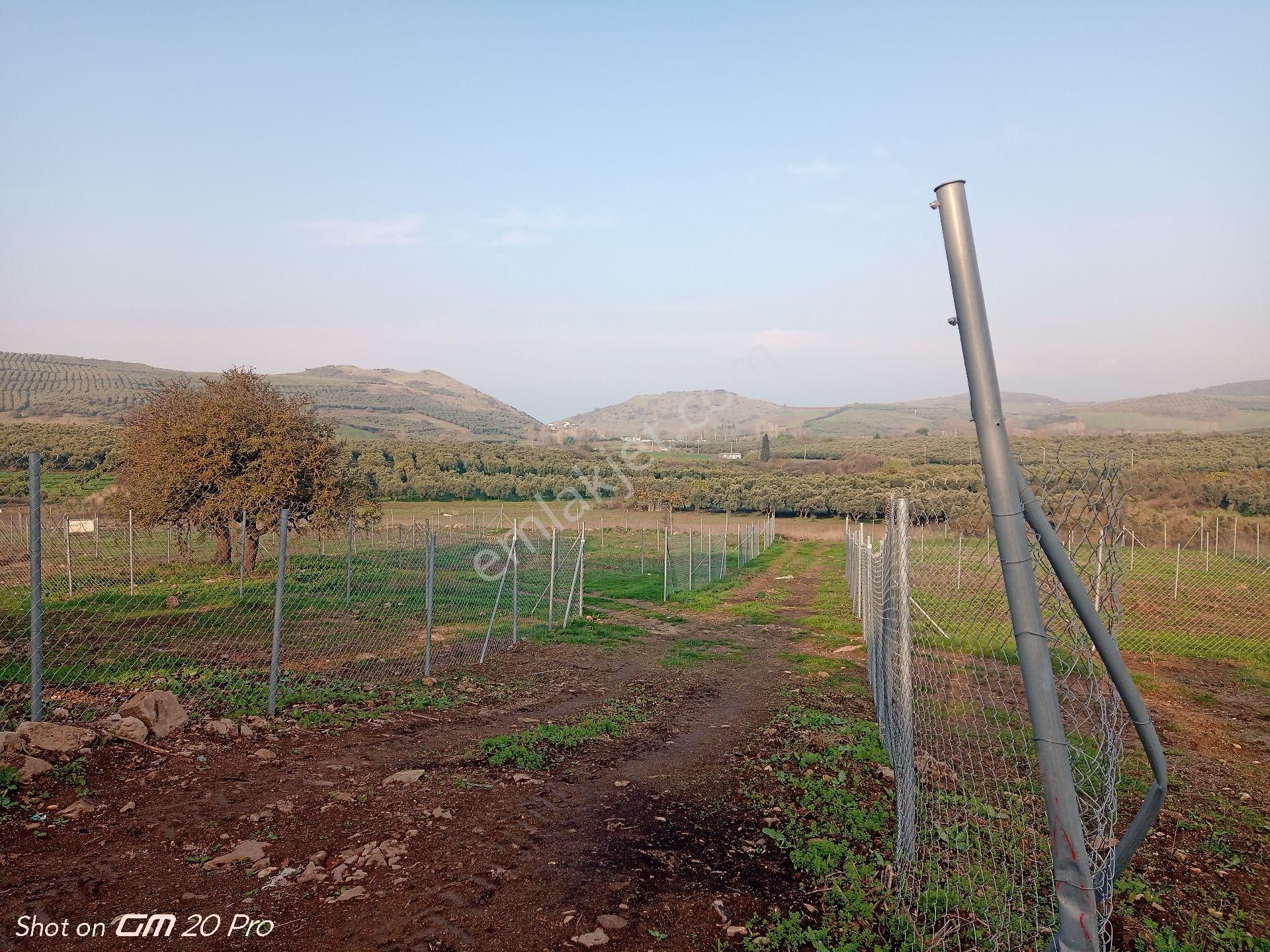 Mudanya Yalıçiftlik Satılık Parseller - Görsel 14
