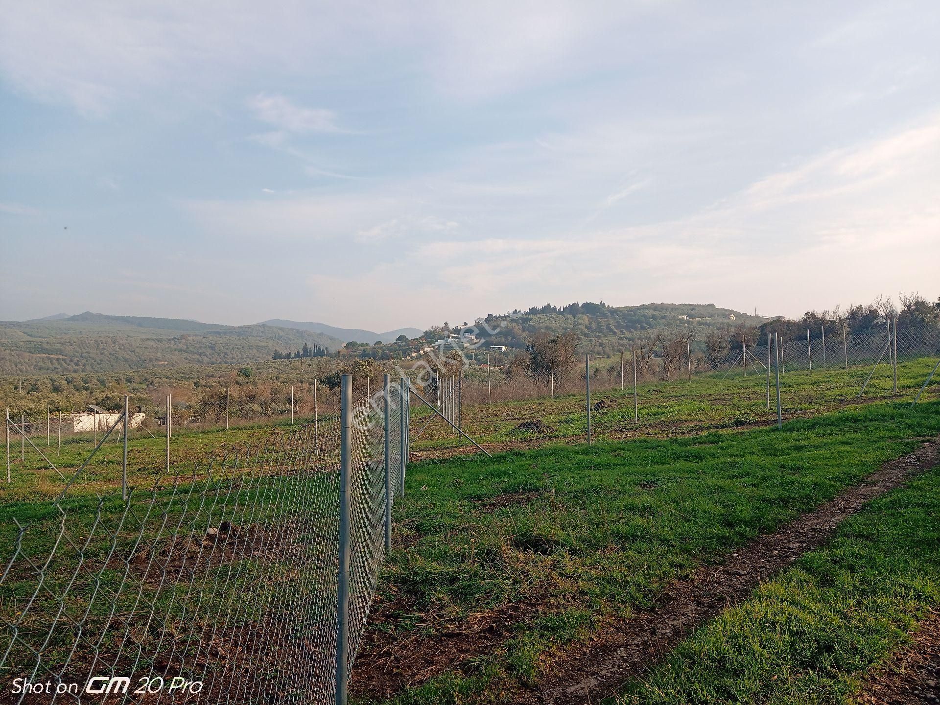 Mudanya Yalıçiftlik Satılık Parseller - Görsel 8
