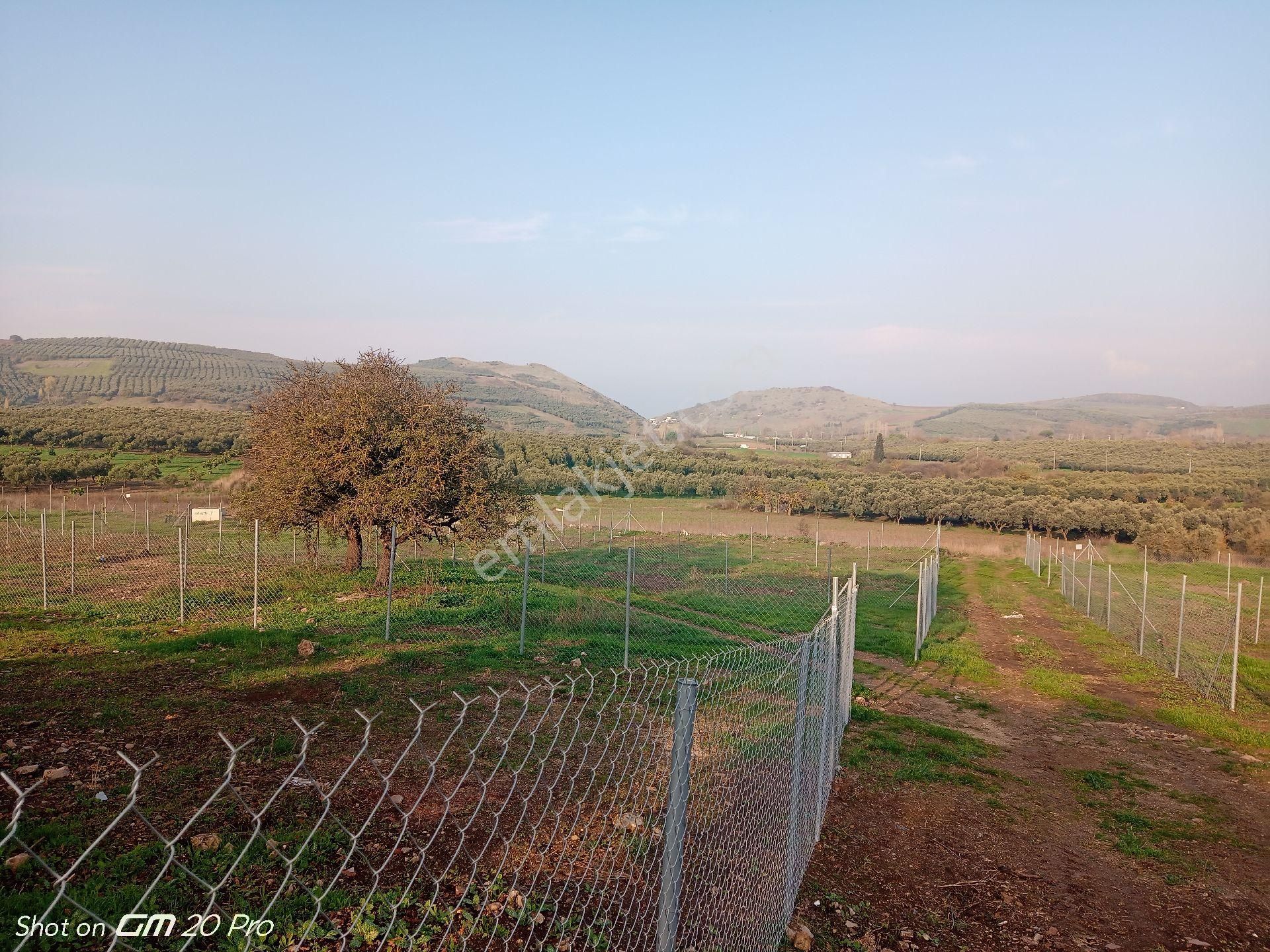 Mudanya Yalıçiftlik Satılık Parseller - Görsel 13