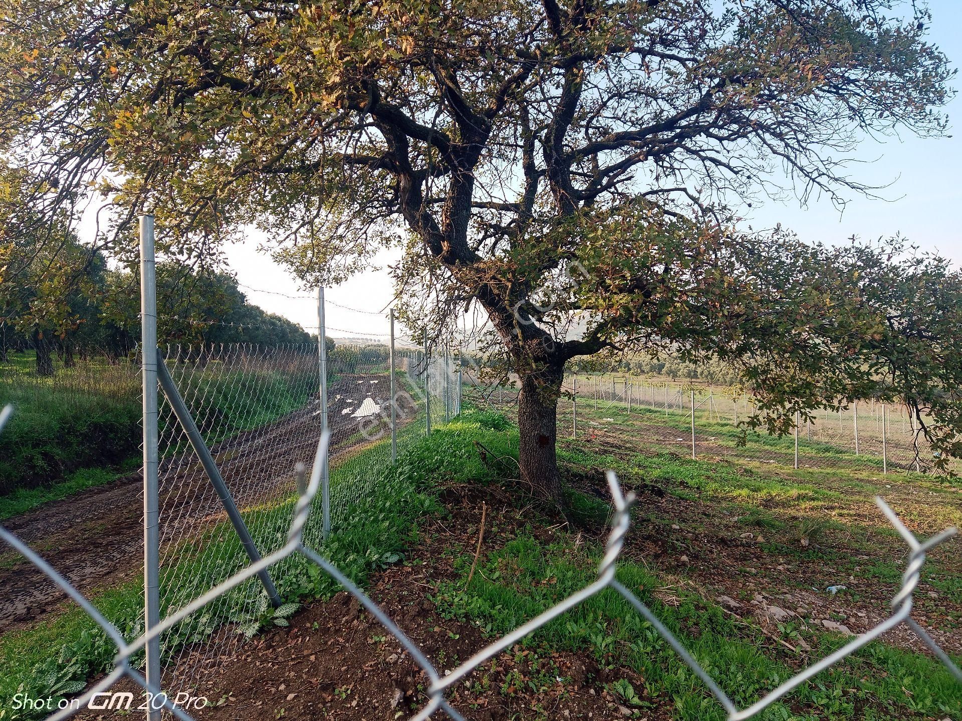 Mudanya Yalıçiftlik Satılık Parseller - Görsel 11
