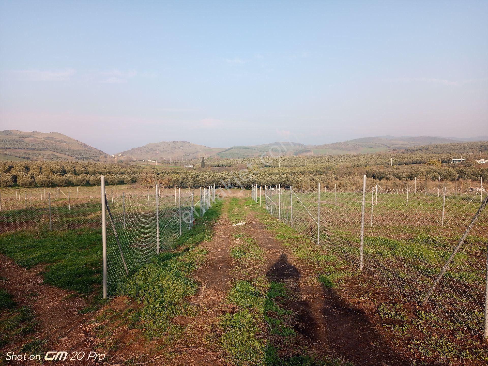 Mudanya Yalıçiftlik Satılık Parseller - Görsel 10