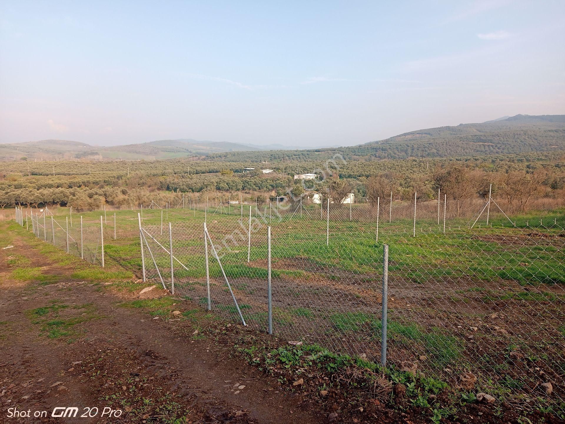 Mudanya Yalıçiftlik Satılık Parseller - Görsel 12