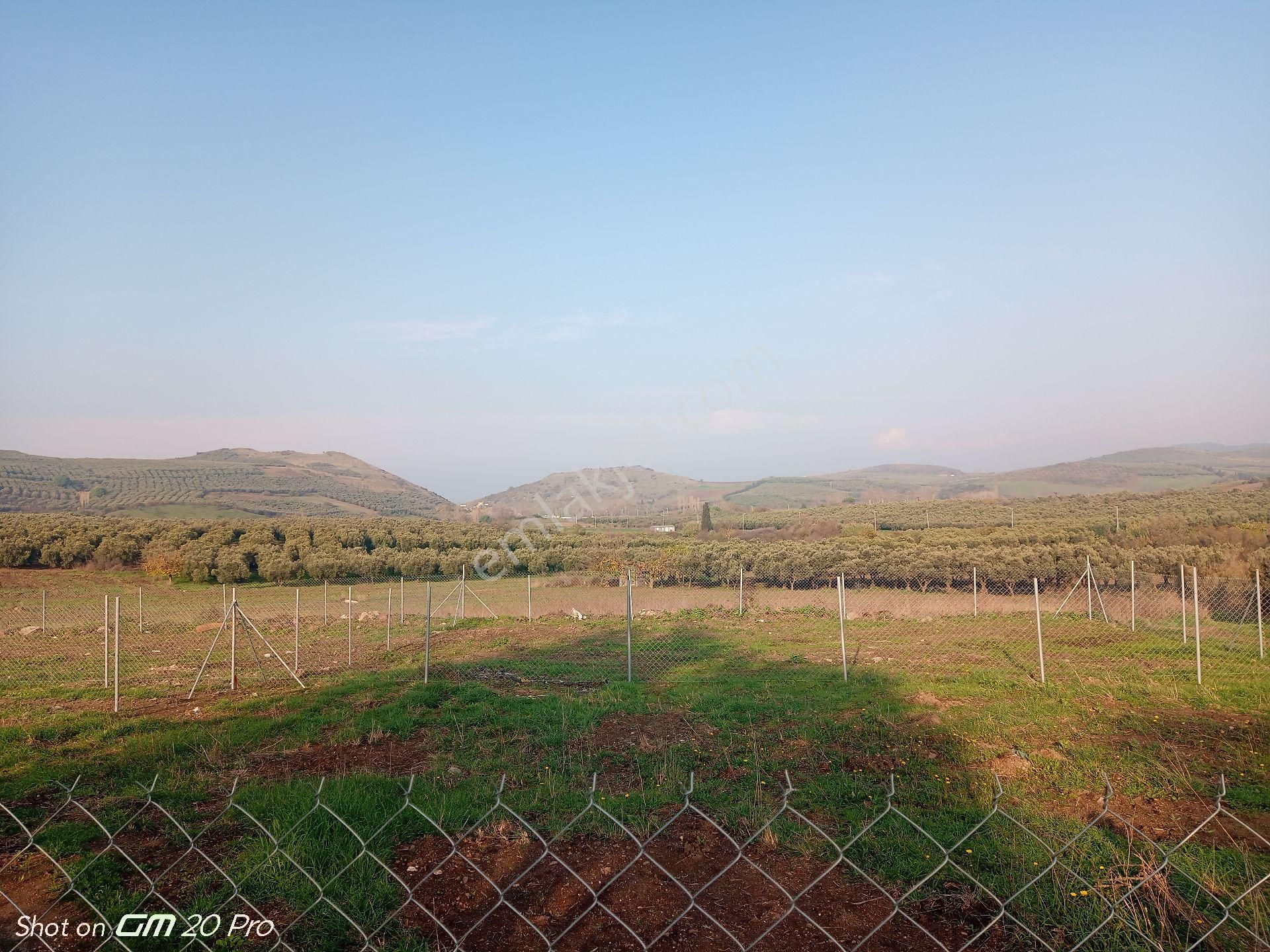 Mudanya Yalıçiftlik Satılık Parseller - Görsel 4