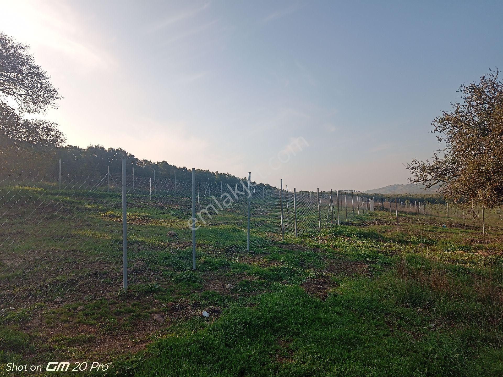 Mudanya Yalıçiftlik Satılık Parseller - Görsel 9