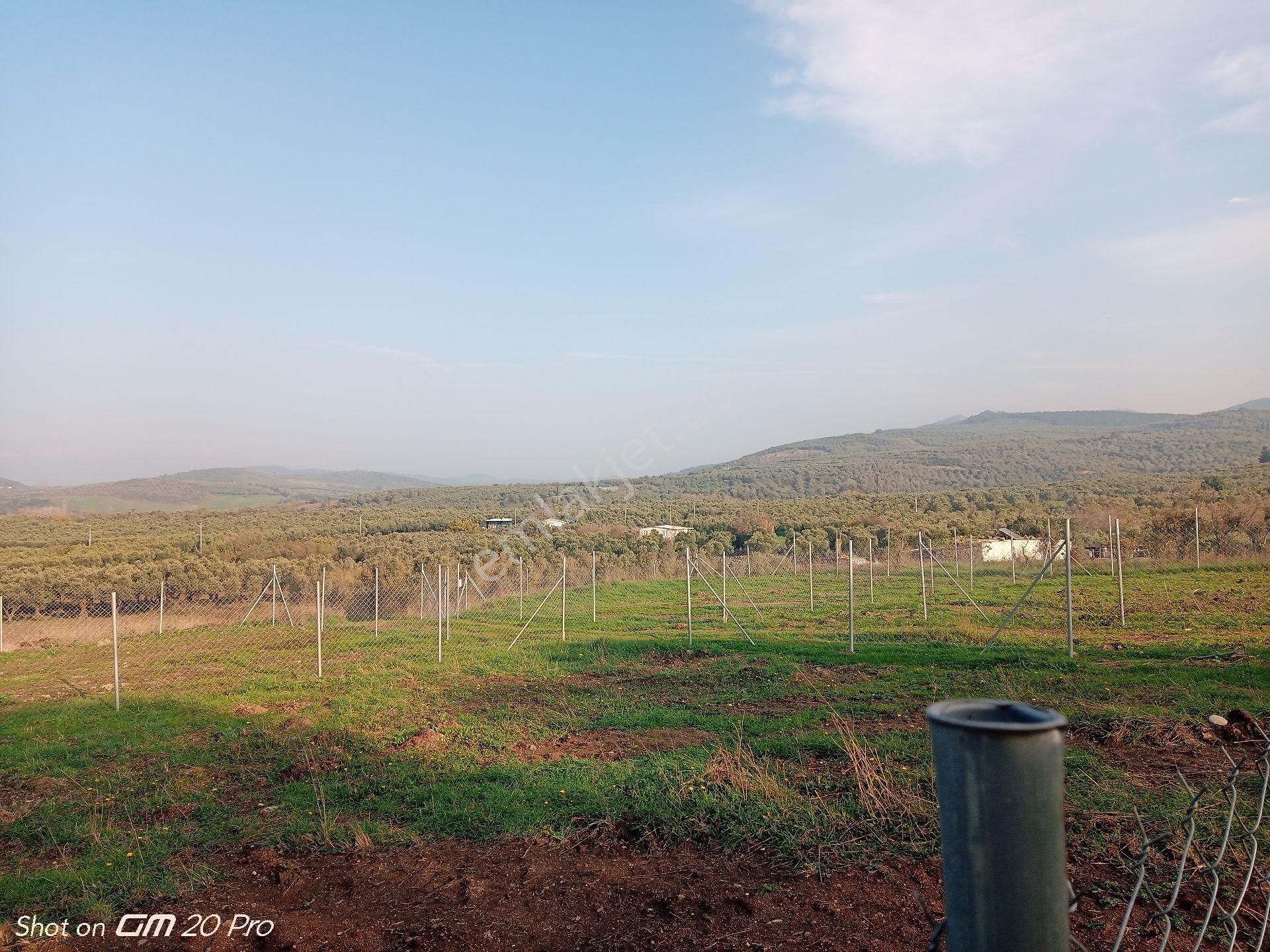 Mudanya Yalıçiftlik Satılık Parseller - Görsel 5