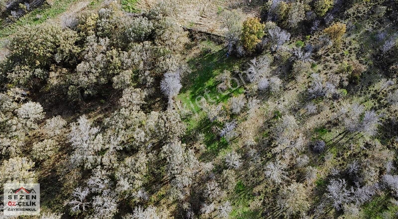 Çanakkale Salihler Köyünde Satılık Arazi - Görsel 9