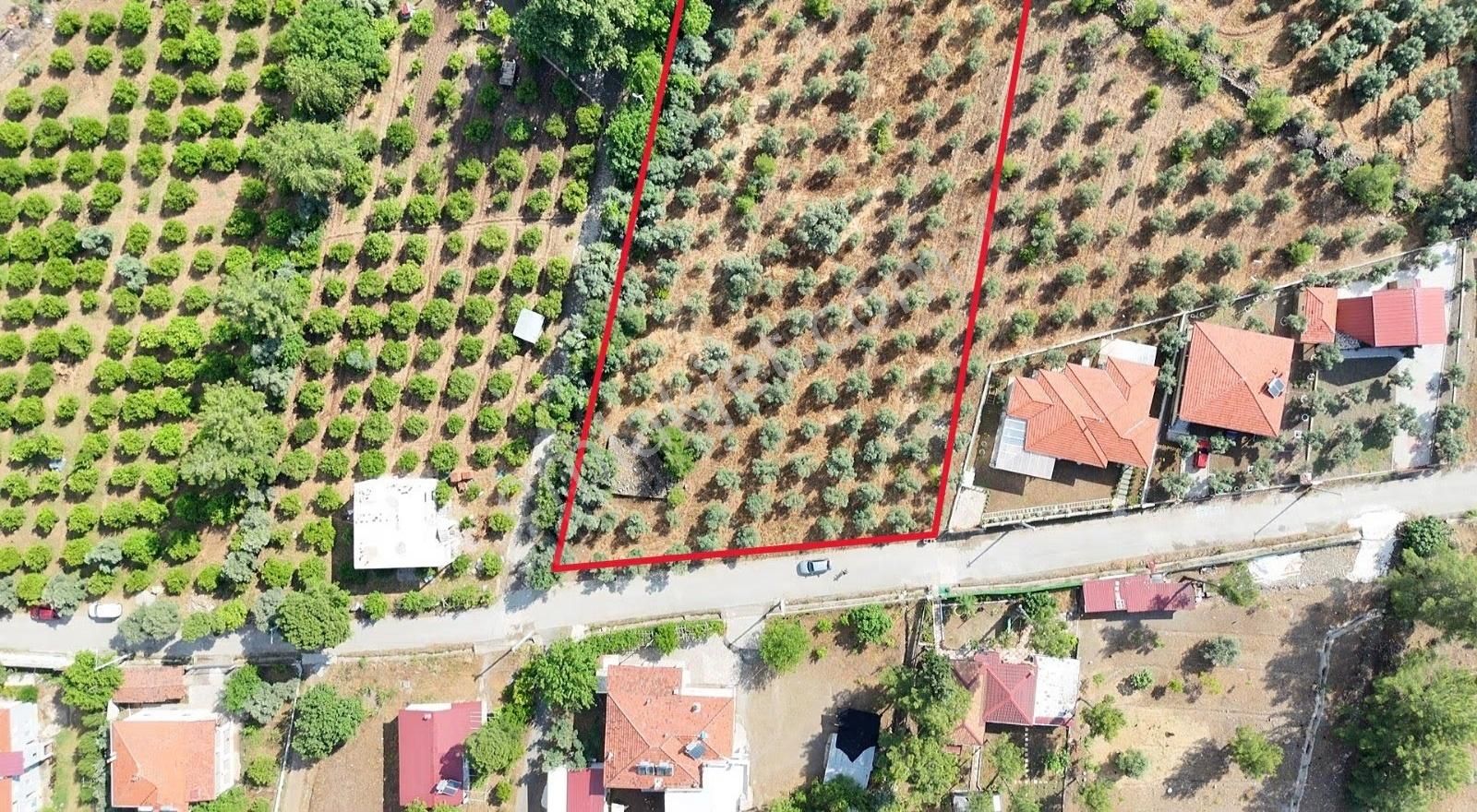 Köyceğiz Toparlar Mah. %5 İmarlı 5.000 M2 Satılık Arsa