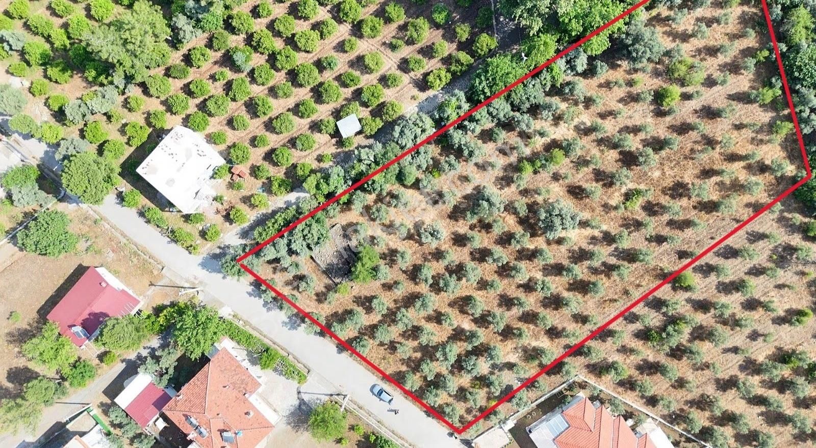 Köyceğiz Toparlar Mah. %5 İmarlı 5.000 M2 Satılık Arsa - Görsel 2