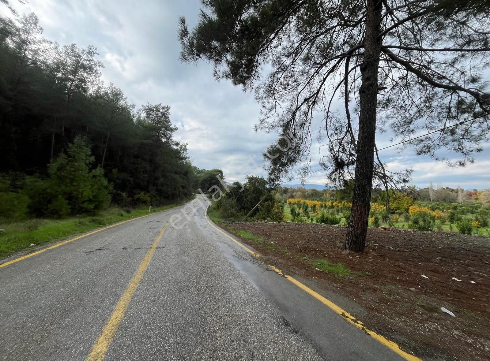 Dalyan Yolu Üzerinde 598 M2 Tek Tapu Satılık Arazi - Görsel 4