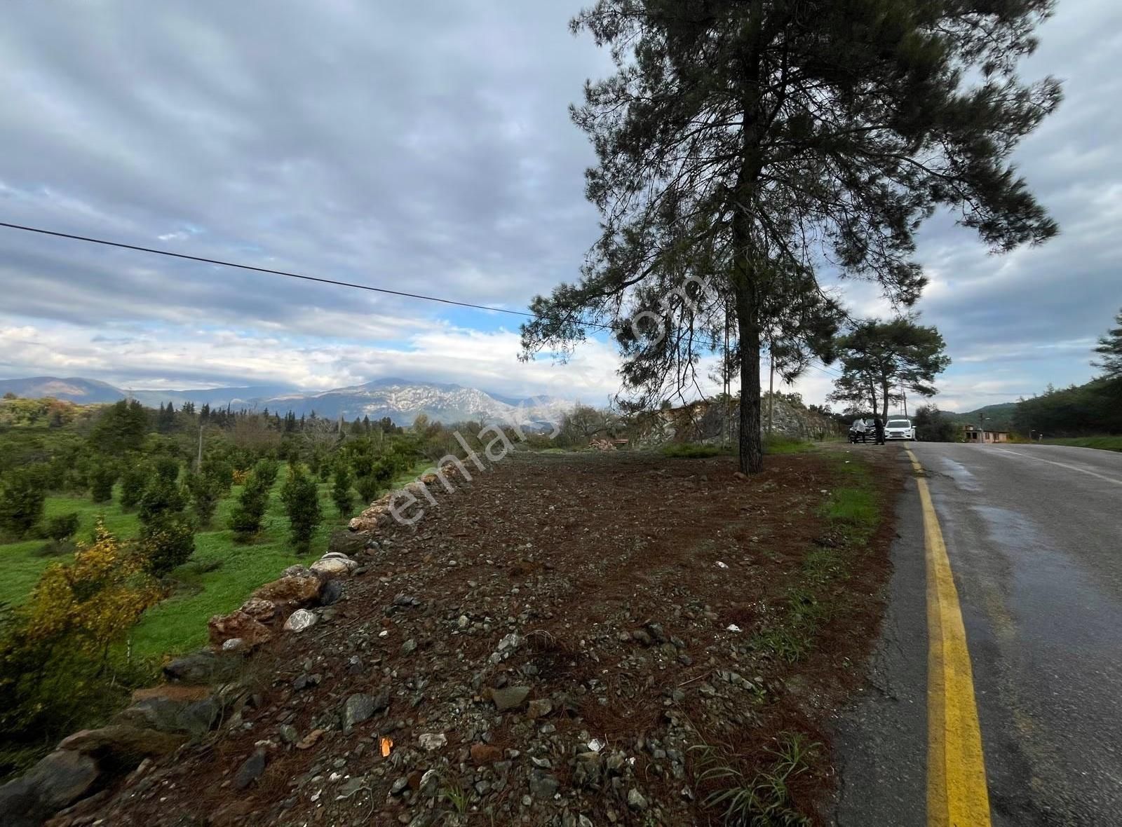 Dalyan Yolu Üzerinde 598 M2 Tek Tapu Satılık Arazi - Görsel 5