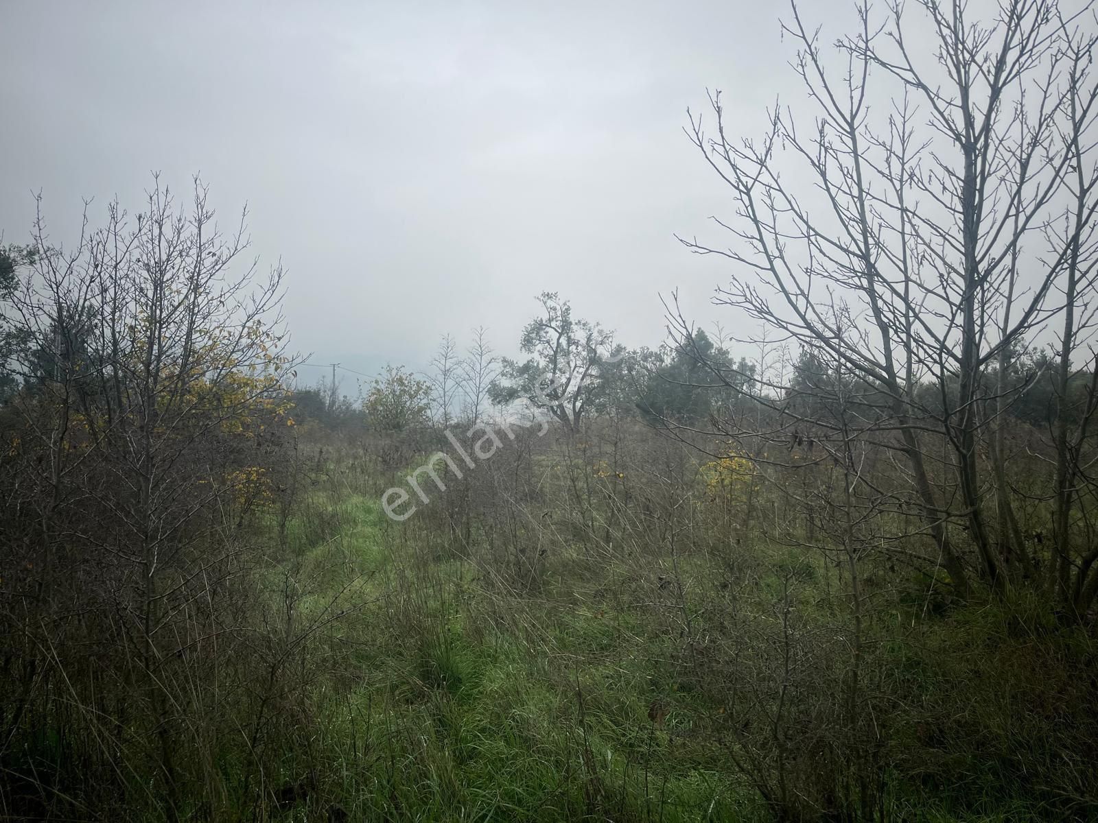🏡 Sakarya / Geyve – Burhaniye Mahallesi ✨ 622 Ada 25 Parsel – Yatırıma Uygun Arsa Fırsatı! - Görsel 7