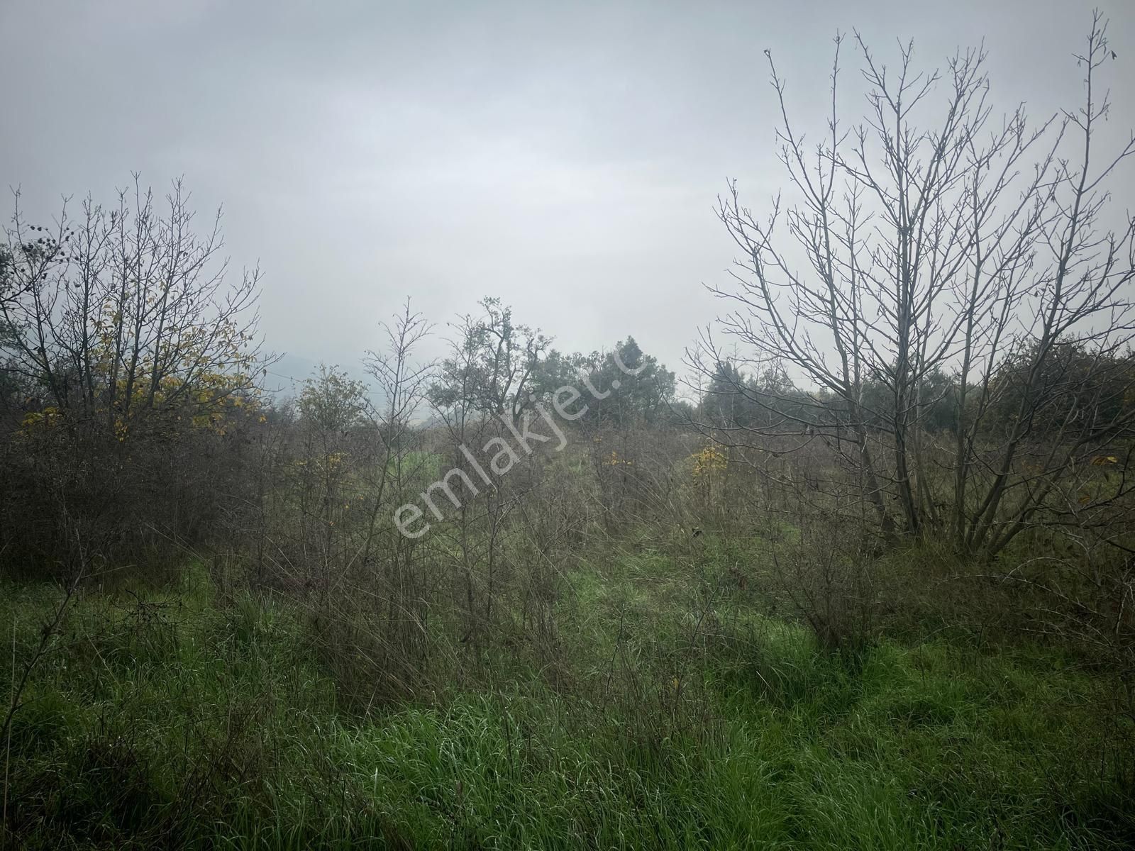 🏡 Sakarya / Geyve – Burhaniye Mahallesi ✨ 622 Ada 25 Parsel – Yatırıma Uygun Arsa Fırsatı! - Görsel 14