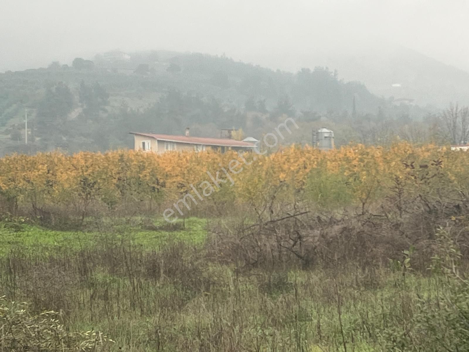 🏡 Sakarya / Geyve – Burhaniye Mahallesi ✨ 622 Ada 25 Parsel – Yatırıma Uygun Arsa Fırsatı! - Görsel 3