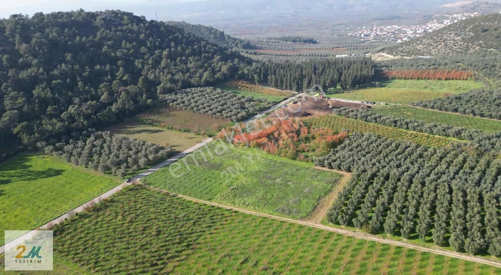 2m Yatırım'dan İznik Elbeylide Satılık Arsa - Görsel 27