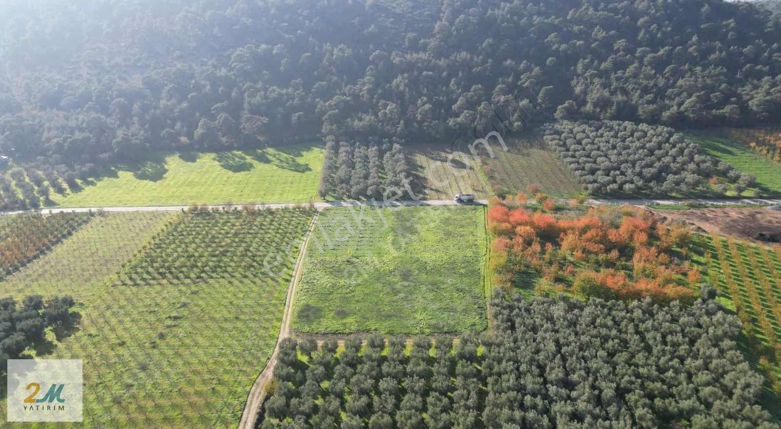 2m Yatırım'dan İznik Elbeylide Satılık Arsa - Görsel 9