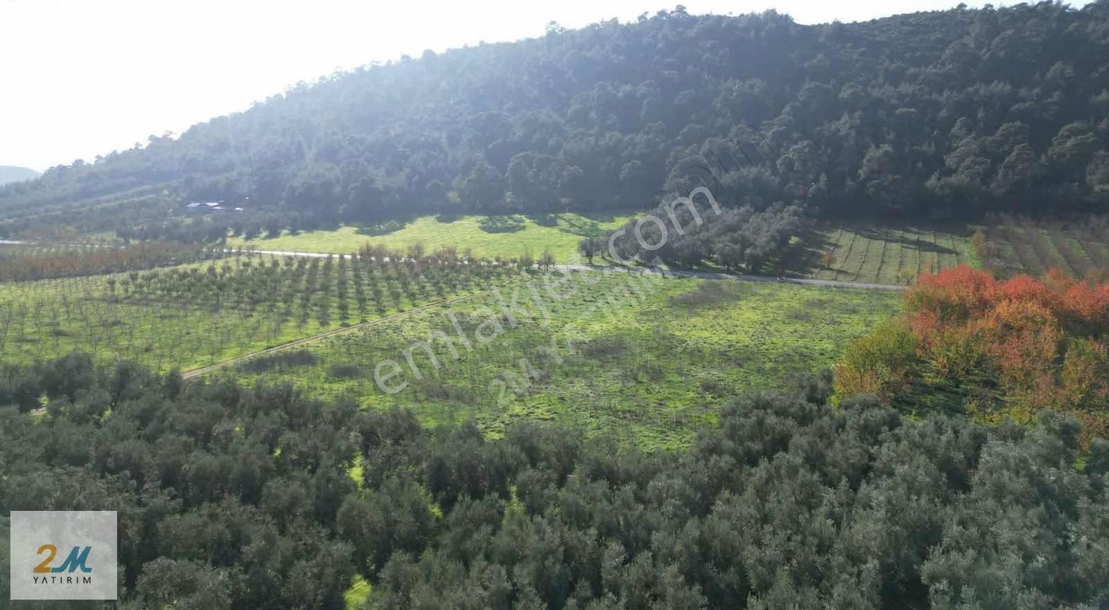 2m Yatırım'dan İznik Elbeylide Satılık Arsa - Görsel 11