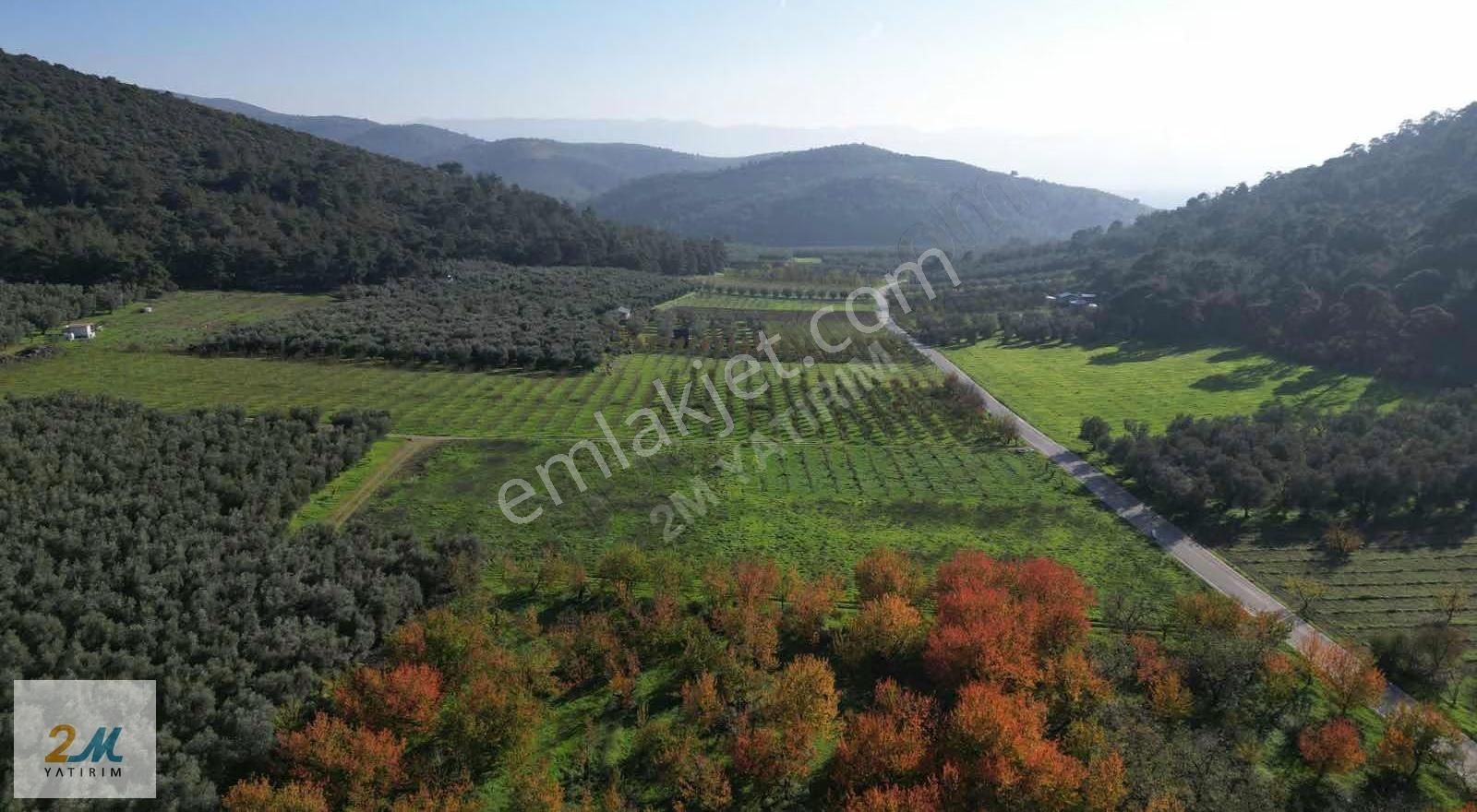 2m Yatırım'dan İznik Elbeylide Satılık Arsa - Görsel 29