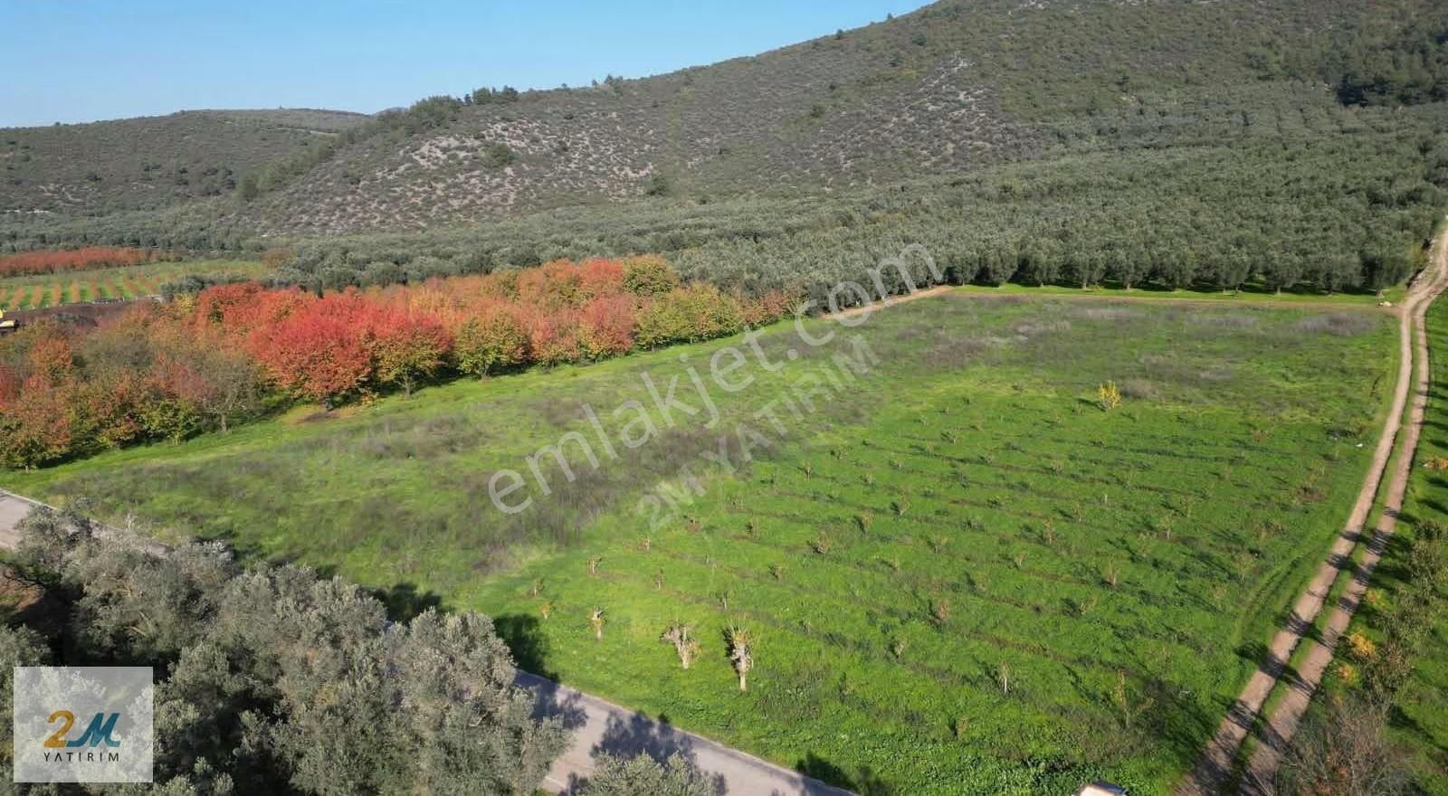 2m Yatırım'dan İznik Elbeylide Satılık Arsa - Görsel 17
