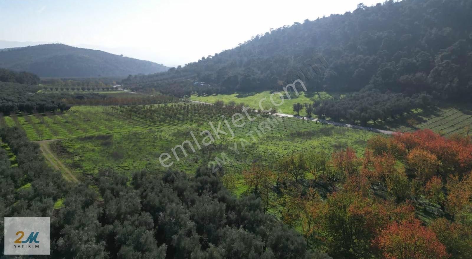 2m Yatırım'dan İznik Elbeylide Satılık Arsa - Görsel 28