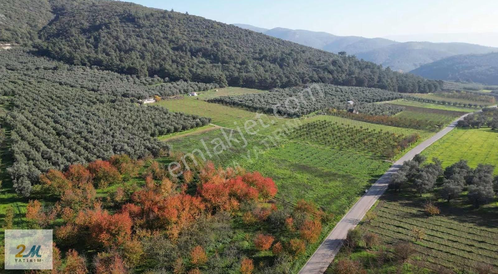 2m Yatırım'dan İznik Elbeylide Satılık Arsa - Görsel 5