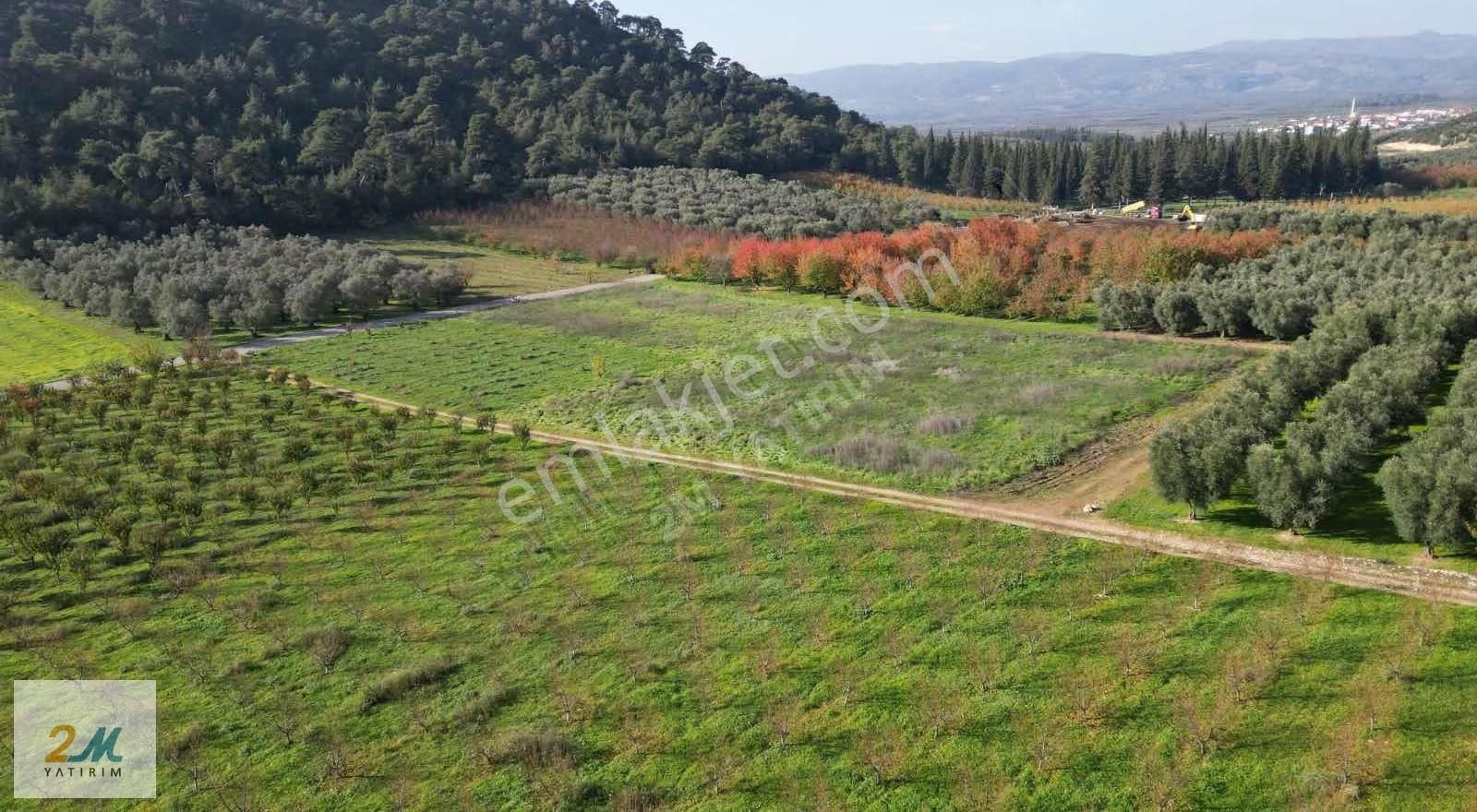 2m Yatırım'dan İznik Elbeylide Satılık Arsa - Görsel 16
