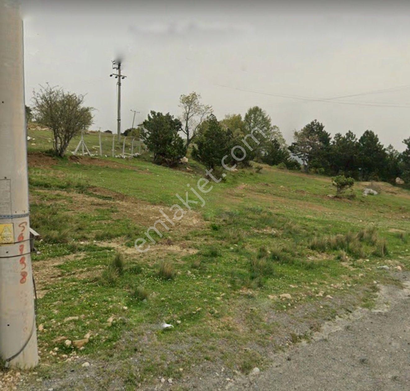 🏡 Sakarya / Geyve – Doğançıl Mahallesi 116 Ada / 82 Parsel – 718 M² Satılık Arsa - Görsel 4