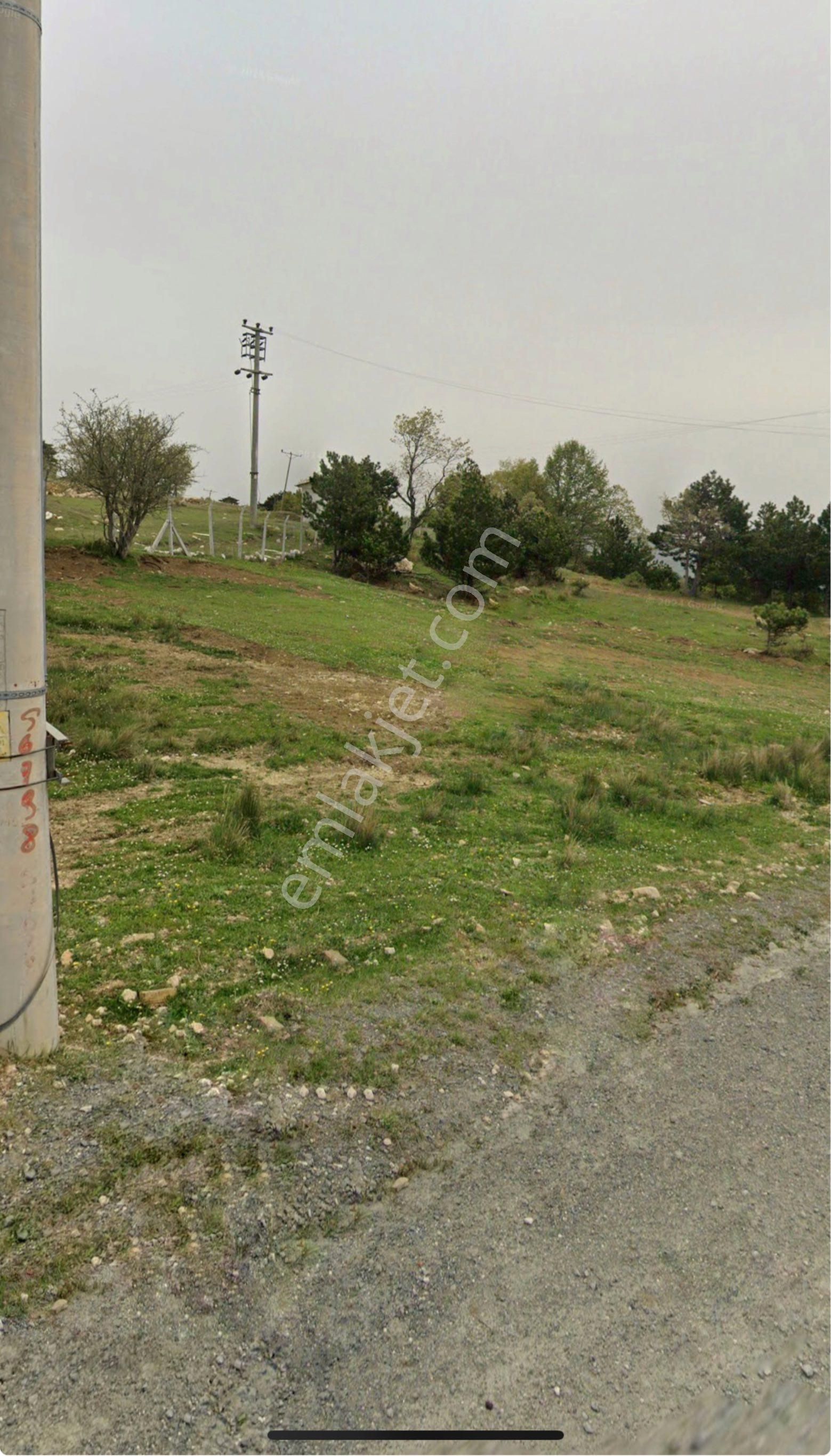🏡 Sakarya / Geyve – Doğançıl Mahallesi 116 Ada / 82 Parsel – 718 M² Satılık Arsa - Görsel 3