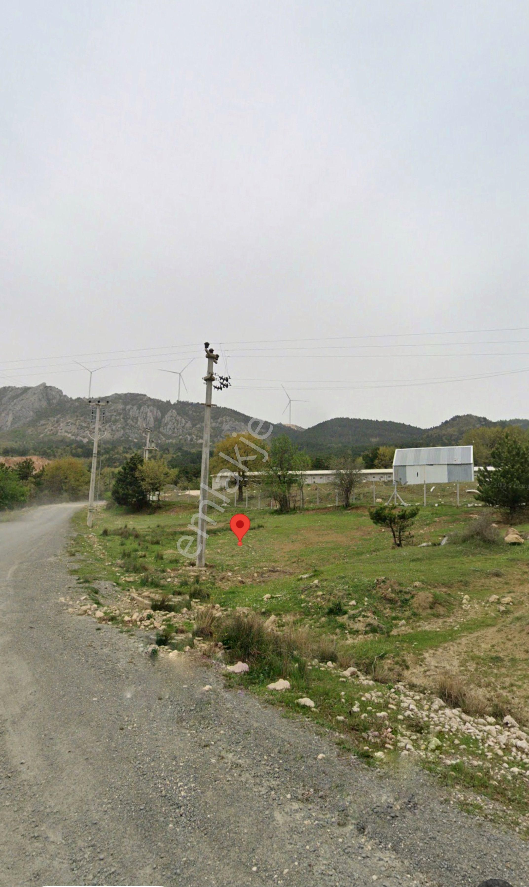 🏡 Sakarya / Geyve – Doğançıl Mahallesi 116 Ada / 82 Parsel – 718 M² Satılık Arsa