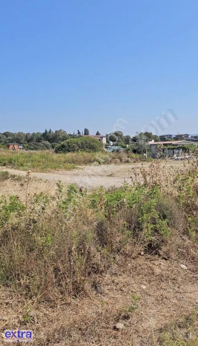 Seferihisar Doğanbey'de Denize Sıfır Muhteşem Satılık Arsa - Görsel 5