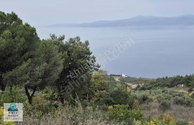 Altıntaş'ta Full Deniz Ve Orman Manzaralı 672 M2 Fırsat Arazi - Görsel 4