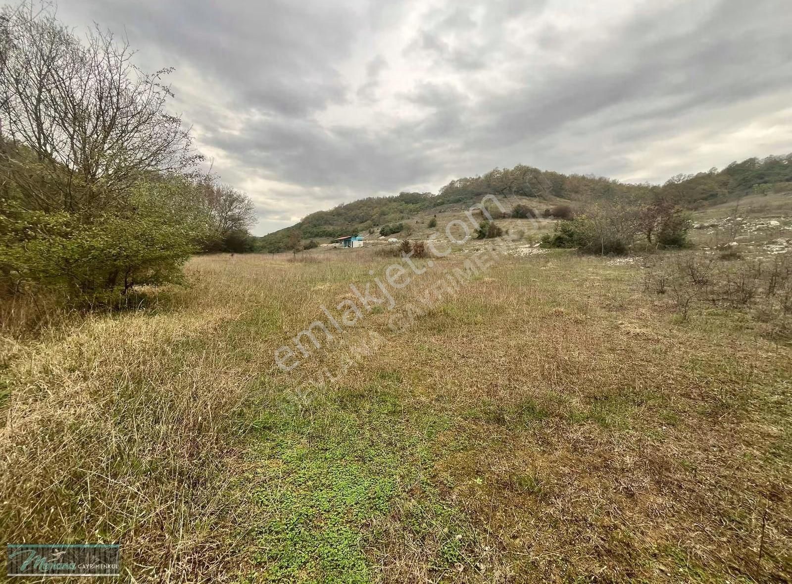 Derince Terziler'de Satılık 1.831 M2 36 Mt Yola Cepheli Arsa - Görsel 2