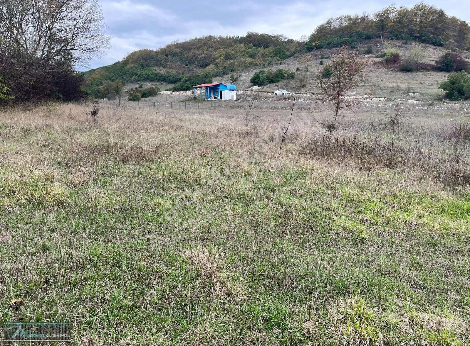 Derince Terziler'de Satılık 1.831 M2 36 Mt Yola Cepheli Arsa - Görsel 3