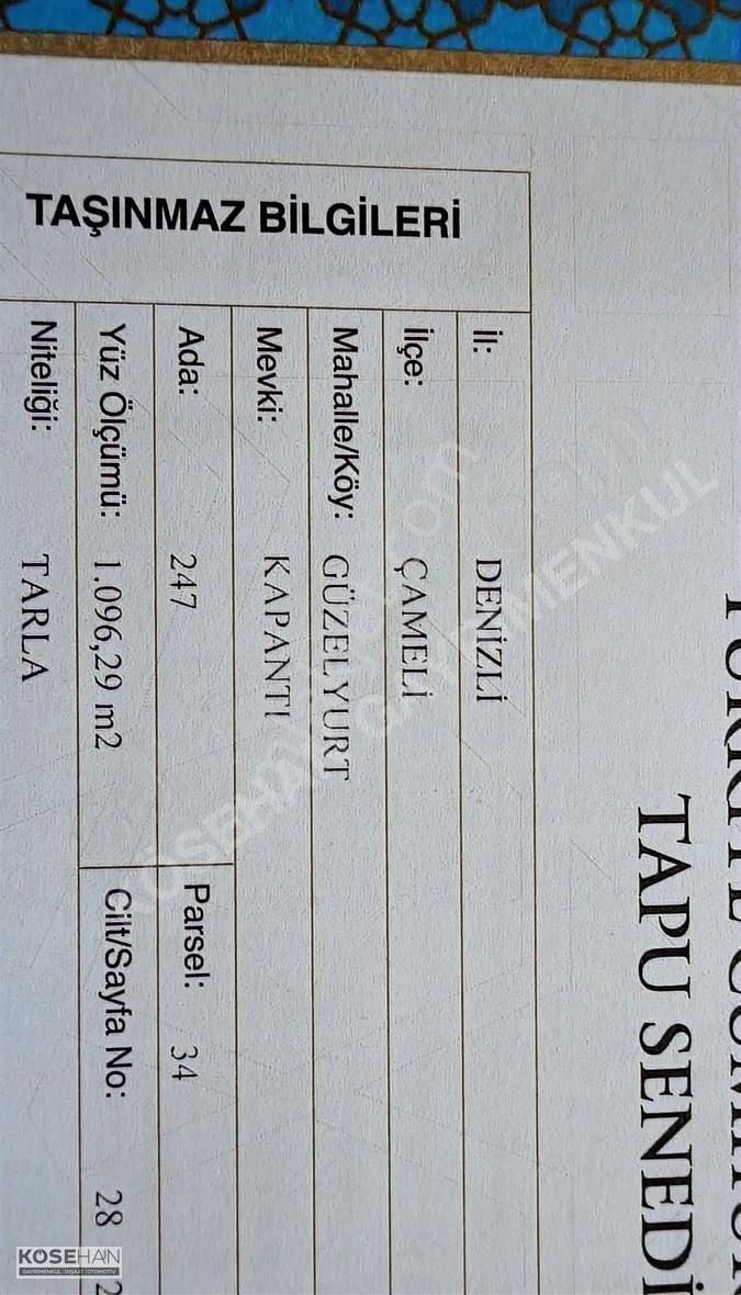 Kösehan Gayrimenkulden Çameli Mevkii 5 Ayrı Tapulu Tarla Satılık - Görsel 4