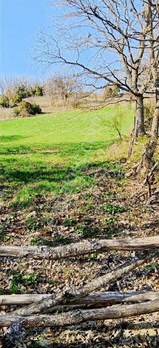 Çanakkale Lapseki Beyçayır Köyü 5246 M2 Satılık Arazi - Görsel 28