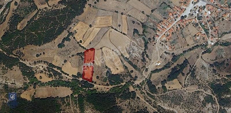 Çanakkale Lapseki Beyçayır Köyü 5246 M2 Satılık Arazi - Görsel 4