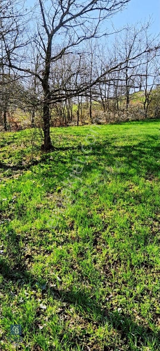 Çanakkale Lapseki Beyçayır Köyü 5246 M2 Satılık Arazi - Görsel 5