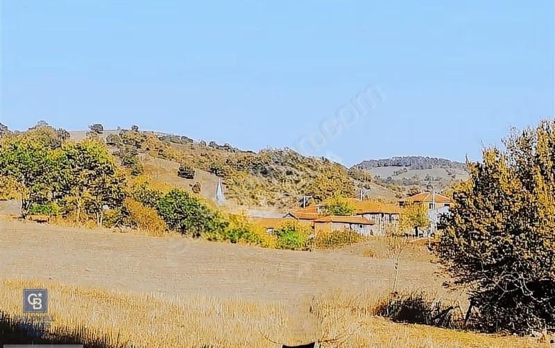 Çanakkale Lapseki Beyçayır Köyü 5246 M2 Satılık Arazi - Görsel 11