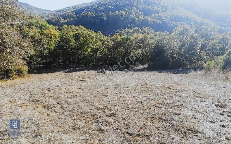 Çanakkale Lapseki Beyçayır Köyü 5246 M2 Satılık Arazi - Görsel 14