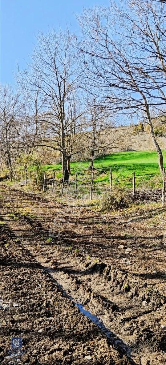 Çanakkale Lapseki Beyçayır Köyü 5246 M2 Satılık Arazi - Görsel 30
