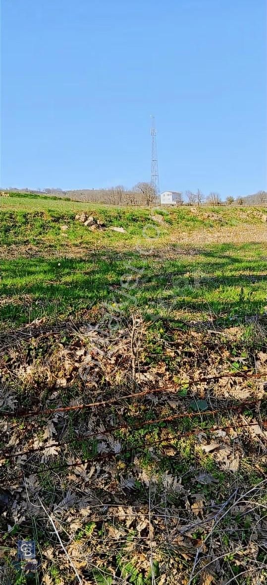 Çanakkale Lapseki Beyçayır Köyü 5246 M2 Satılık Arazi - Görsel 29