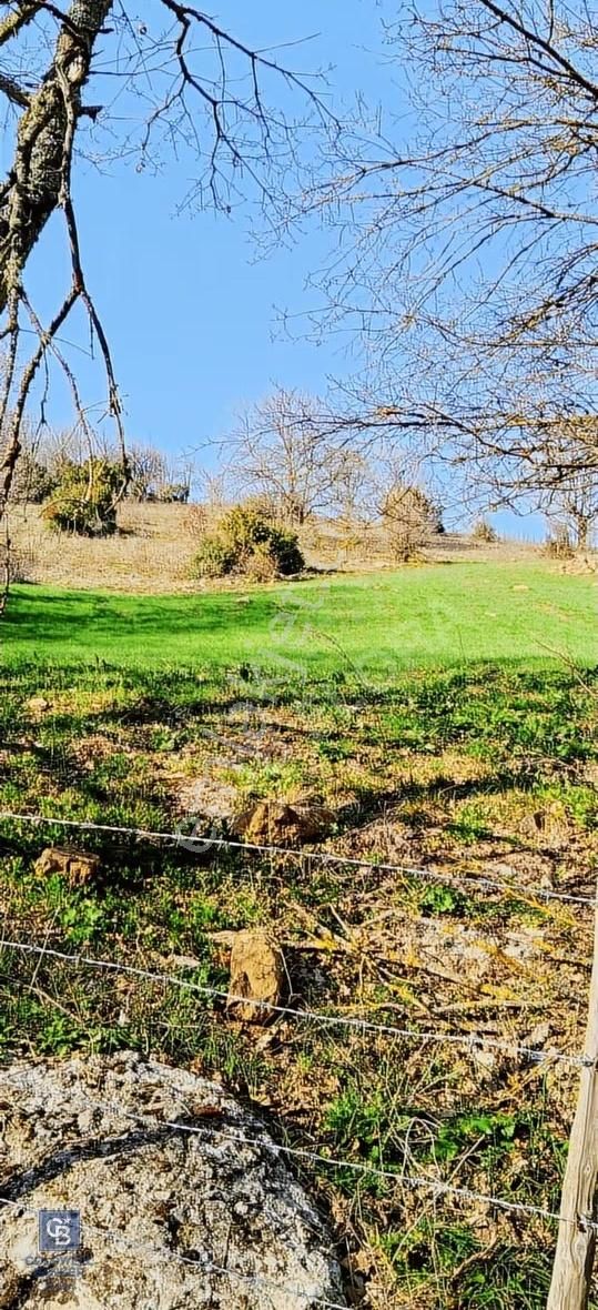 Çanakkale Lapseki Beyçayır Köyü 5246 M2 Satılık Arazi - Görsel 3
