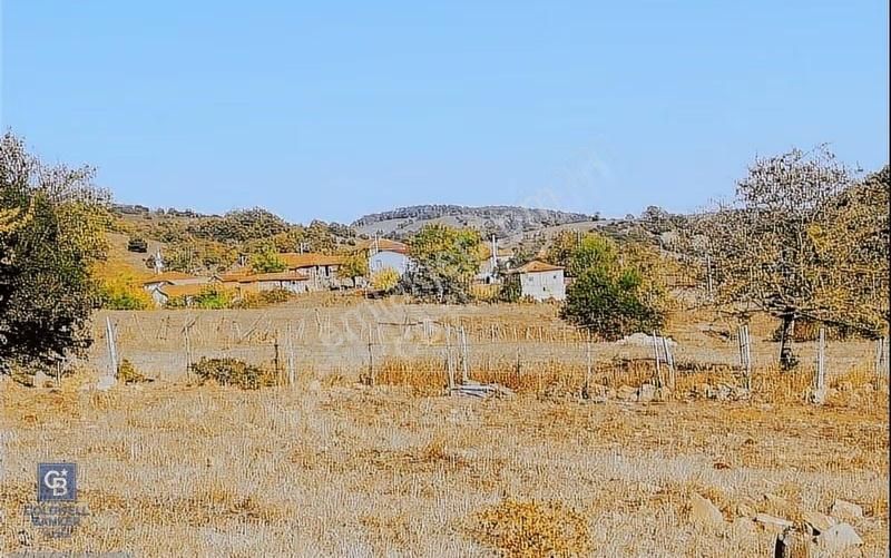Çanakkale Lapseki Beyçayır Köyü 5246 M2 Satılık Arazi - Görsel 6