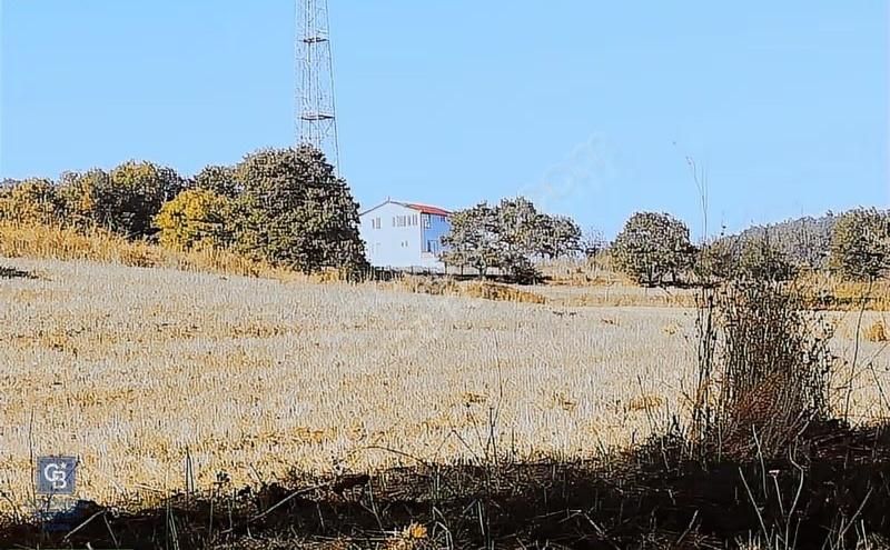 Çanakkale Lapseki Beyçayır Köyü 5246 M2 Satılık Arazi - Görsel 24
