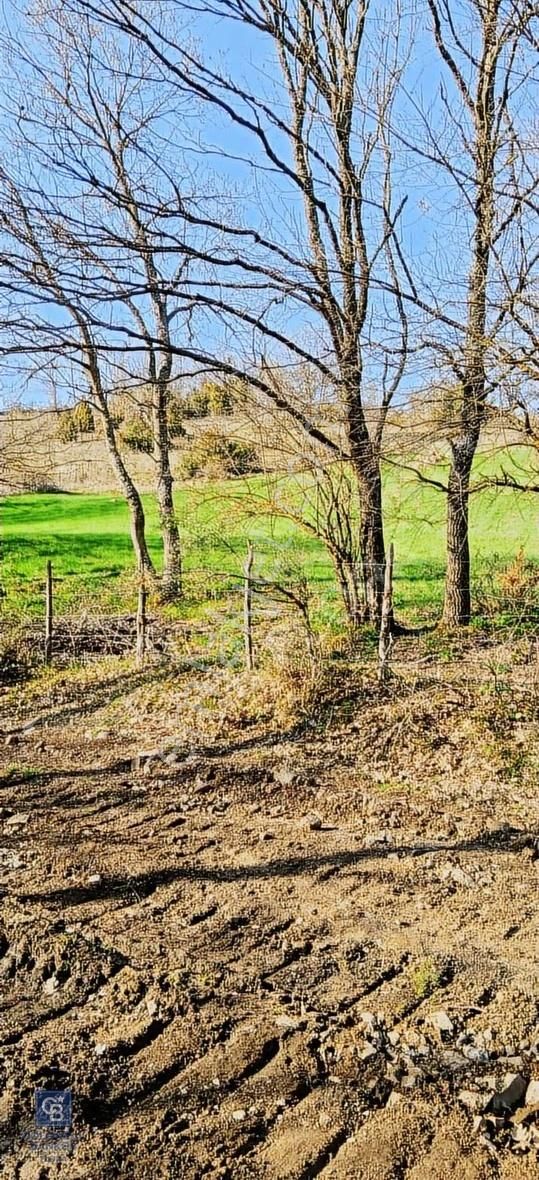 Çanakkale Lapseki Beyçayır Köyü 5246 M2 Satılık Arazi - Görsel 20