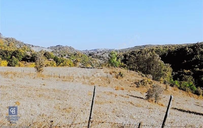 Çanakkale Lapseki Beyçayır Köyü 5246 M2 Satılık Arazi - Görsel 12