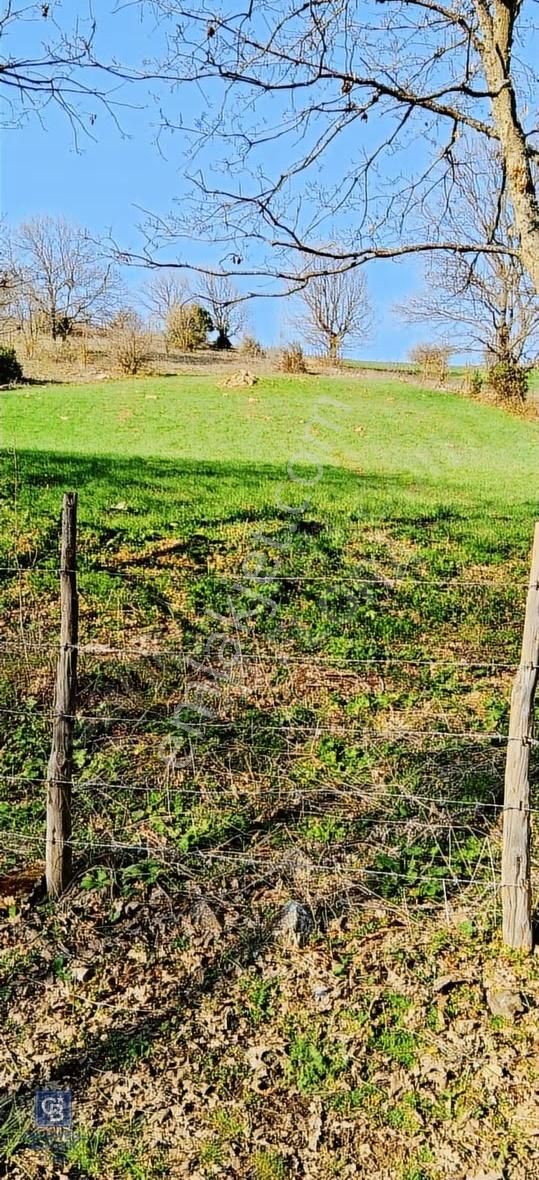 Çanakkale Lapseki Beyçayır Köyü 5246 M2 Satılık Arazi - Görsel 8