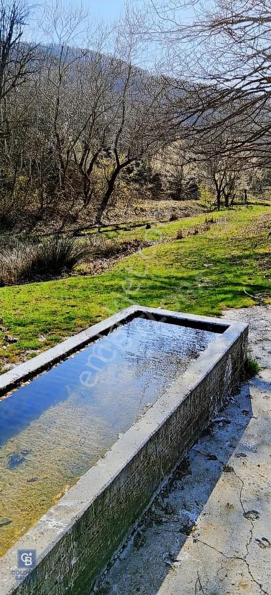 Çanakkale Lapseki Beyçayır Köyü 5246 M2 Satılık Arazi - Görsel 32