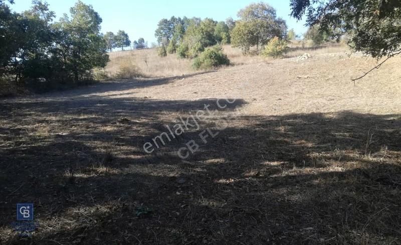 Çanakkale Lapseki Beyçayır Köyü 5246 M2 Satılık Arazi - Görsel 31