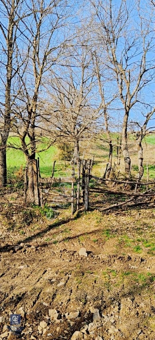 Çanakkale Lapseki Beyçayır Köyü 5246 M2 Satılık Arazi - Görsel 27
