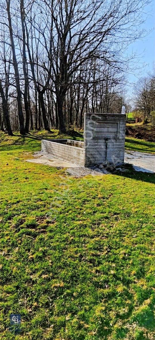 Çanakkale Lapseki Beyçayır Köyü 5246 M2 Satılık Arazi - Görsel 9